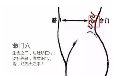 第四个部位在背部命门穴